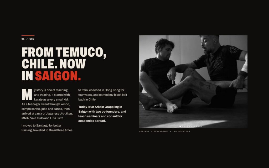 Pato ✕ Anti Sensei website screenshot 3