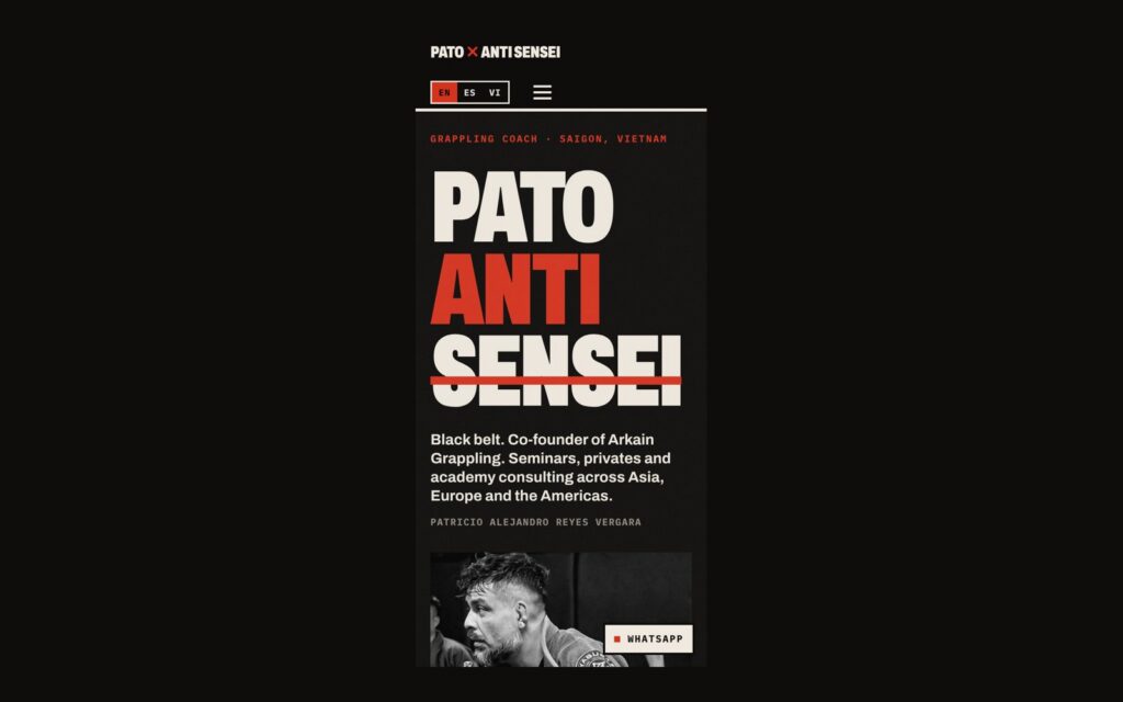 Pato ✕ Anti Sensei website screenshot 8