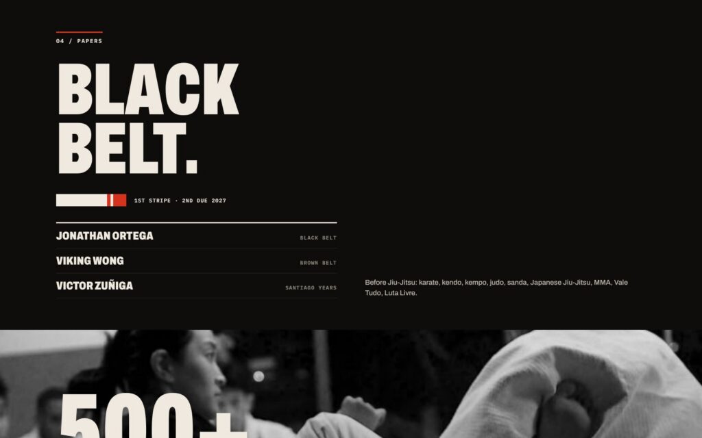 Pato ✕ Anti Sensei website screenshot 6
