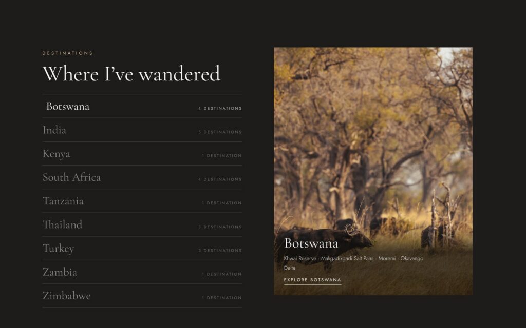 Pure Travel & Photography website screenshot 1