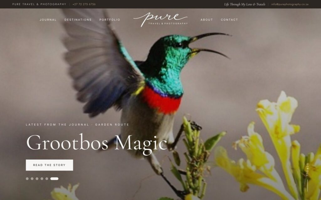 Pure Travel & Photography website homepage